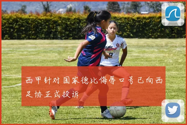 西甲针对国家德比侮辱口号已向西足协正式投诉