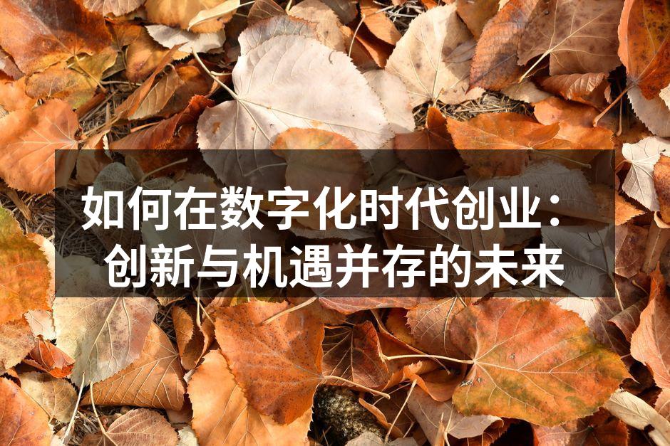 如何在数字化时代创业：创新与机遇并存的未来