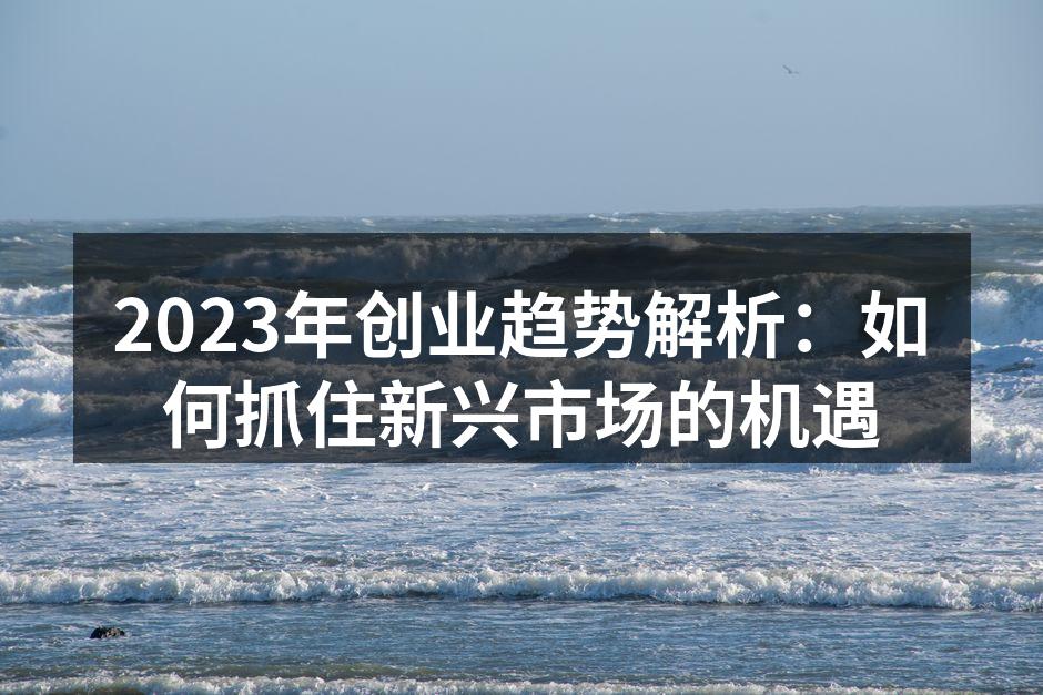 2023年创业趋势解析：如何抓住新兴市场的机遇